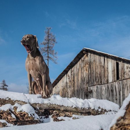 Pension Pod Morskym Okem Karlovice  Luaran gambar