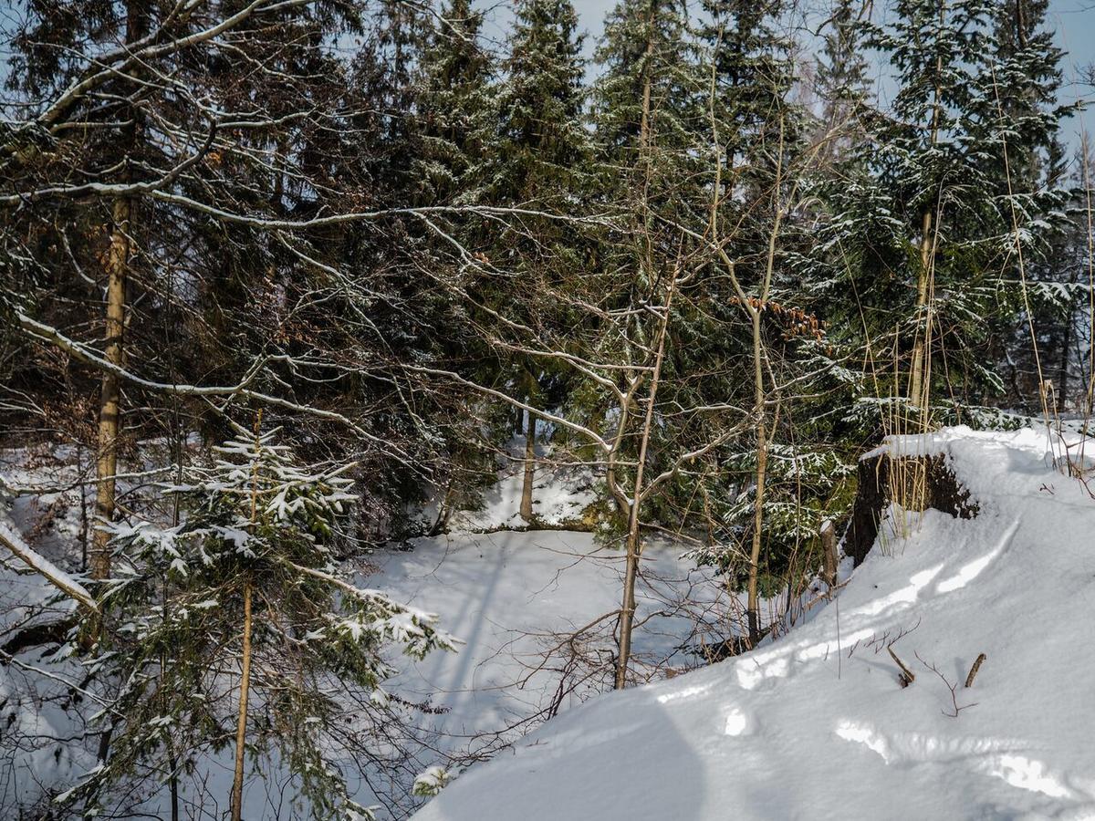 Pension Pod Morskym Okem Karlovice  Luaran gambar
