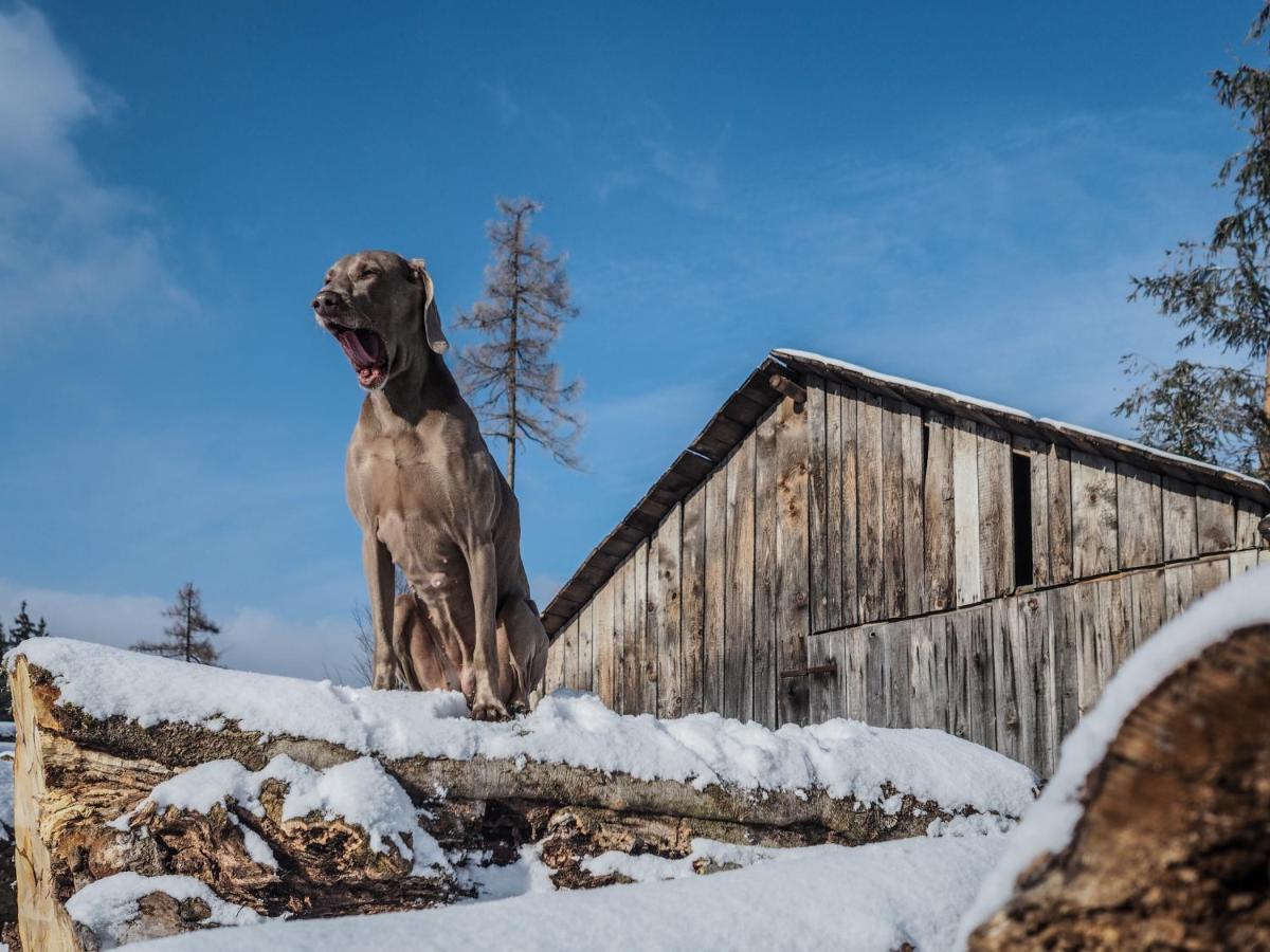 Pension Pod Morskym Okem Karlovice  Luaran gambar